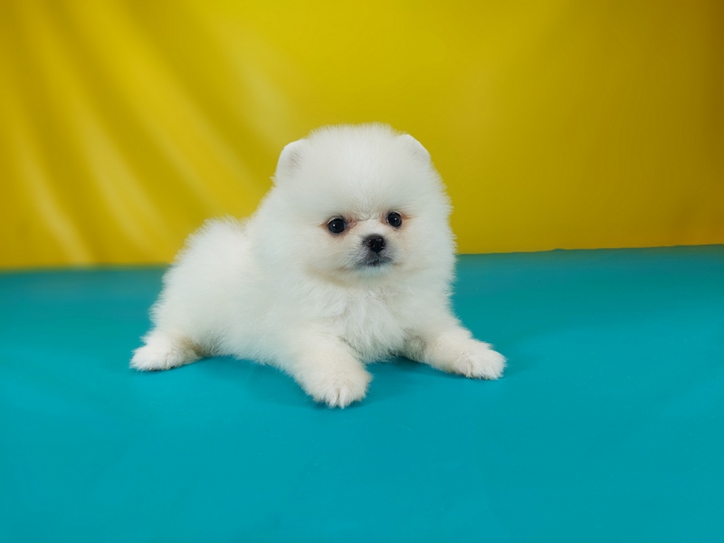 20250602_002122_调整大小.jpg