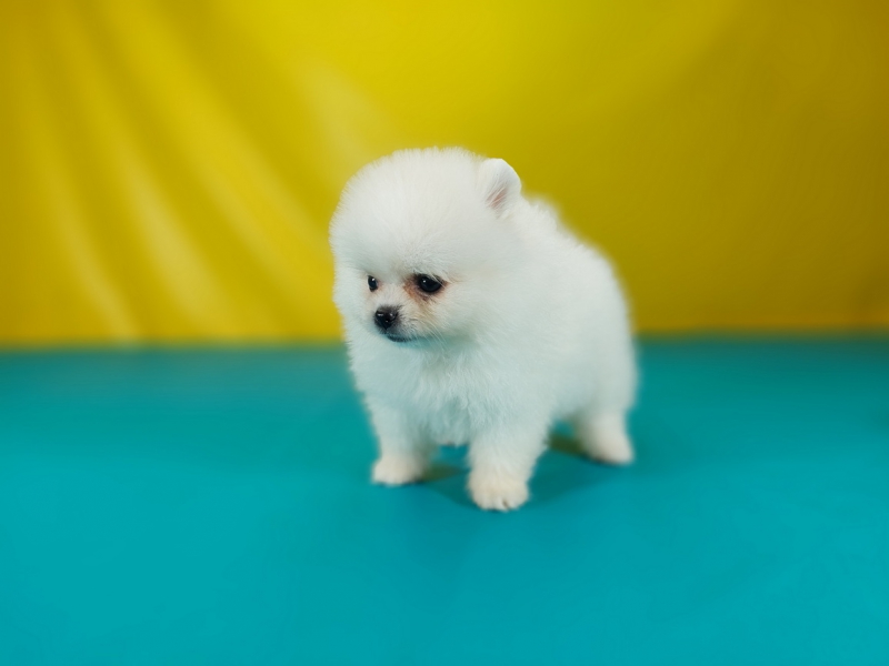 20250602_002646_调整大小.jpg