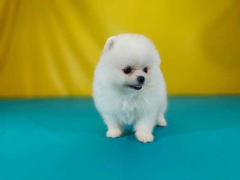 20250602_002709_调整大小.jpg
