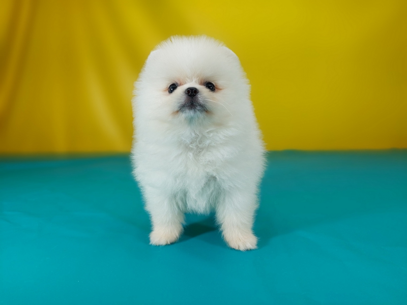 20250602_002157_调整大小.jpg