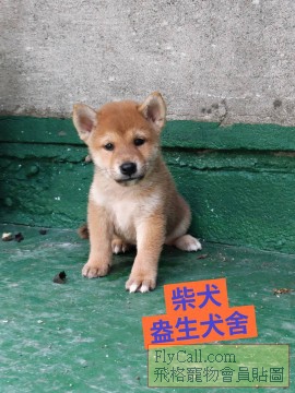 1750914242721_copy_270x360.jpg