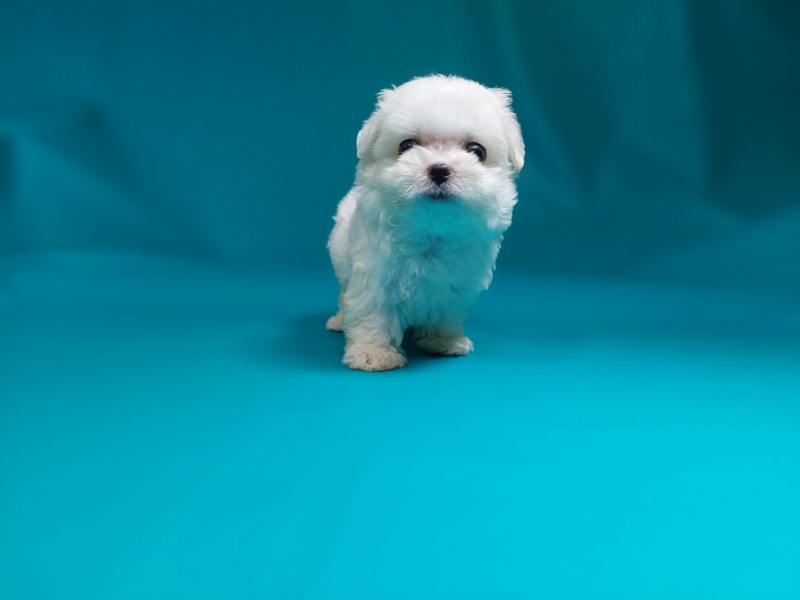 20250709_163459_调整大小.jpg