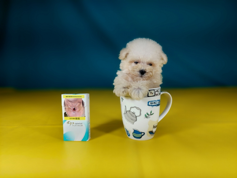 20250812_171101_调整大小.jpg