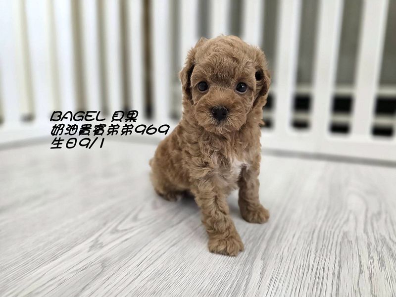 1008305.jpg