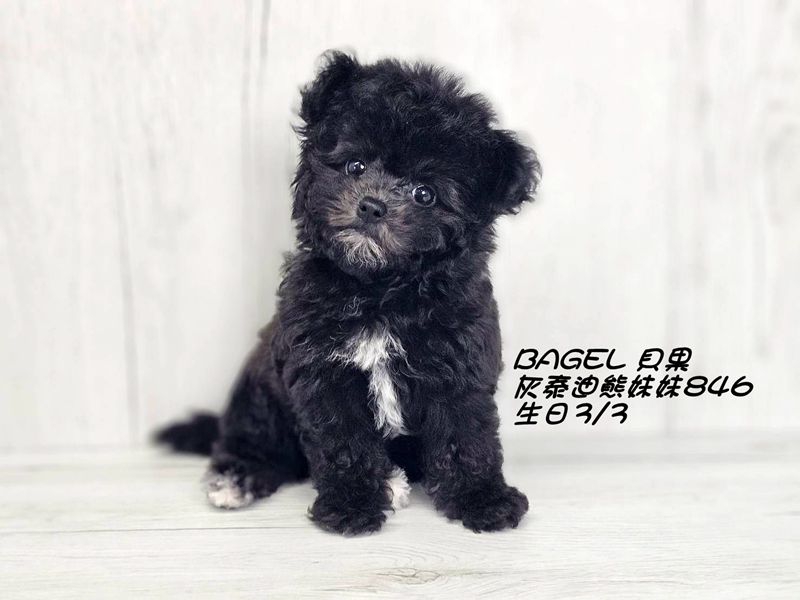 0513405.jpg