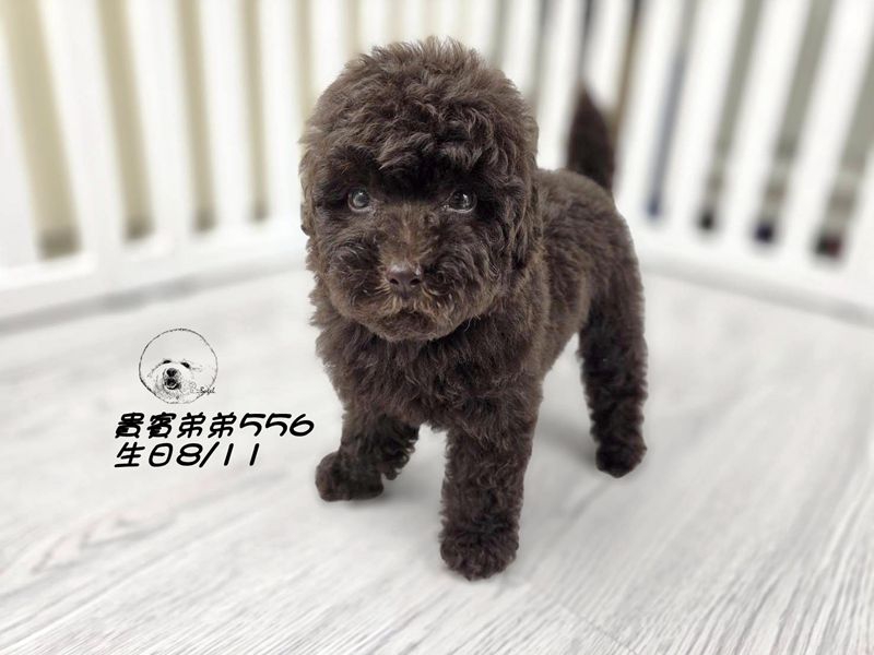 1001802.jpg