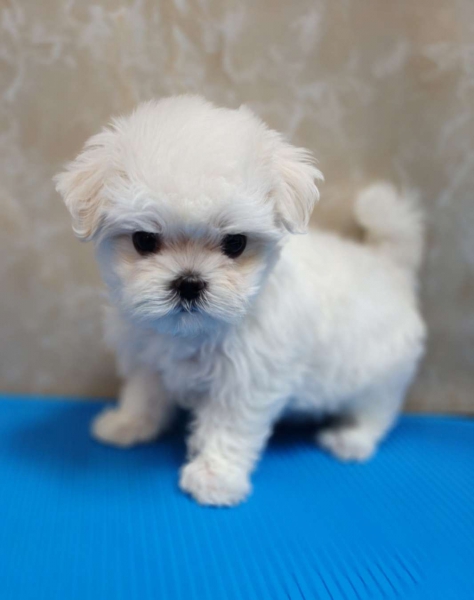 IMG20260904105851.jpg